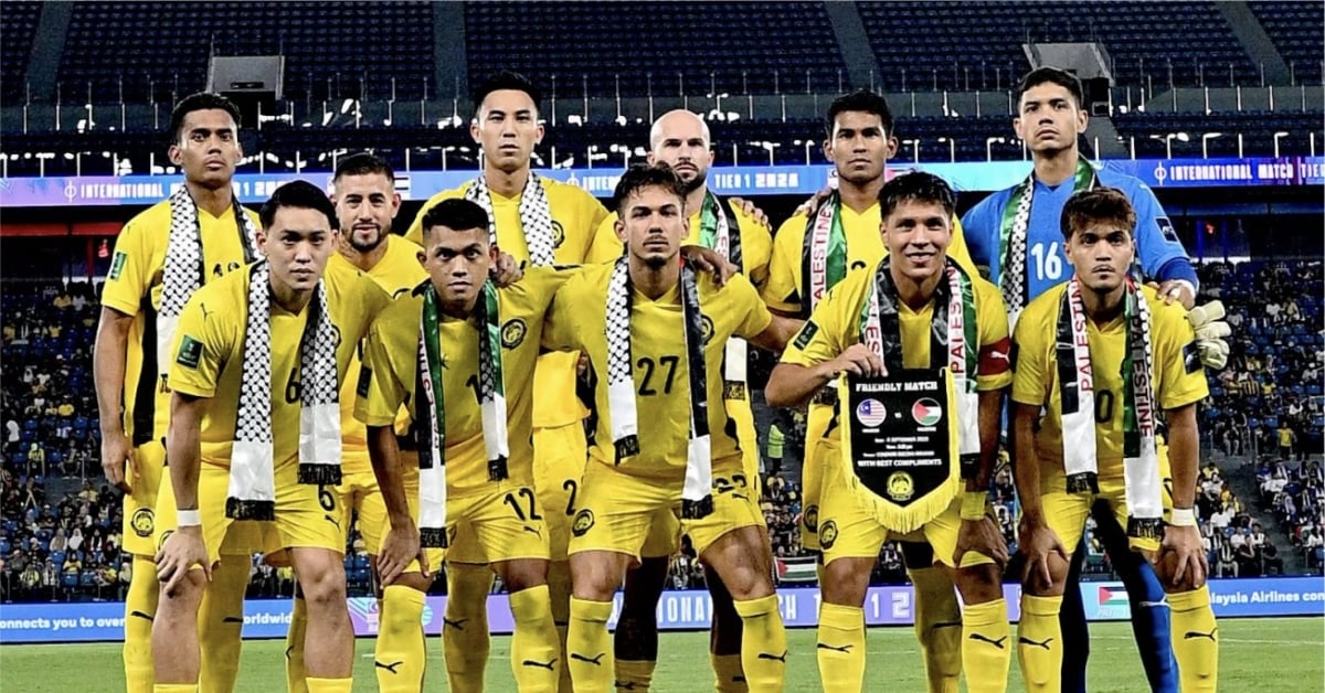 UFOOTBALL 马来西亚国足