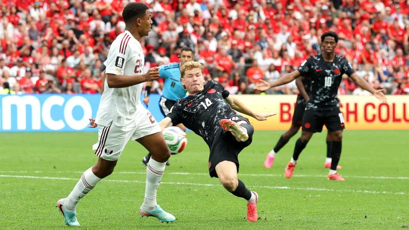 加拿大6-0卡塔尔 世界杯 2026